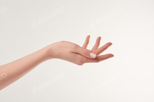 Preview: Partial view of female well-cared hand on white background
