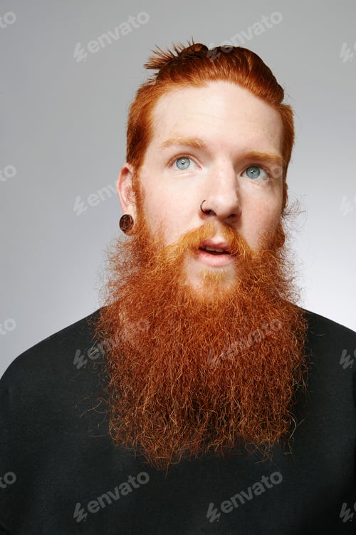 Preview: Portrait of a redhead man with a full beard looking into the camera.