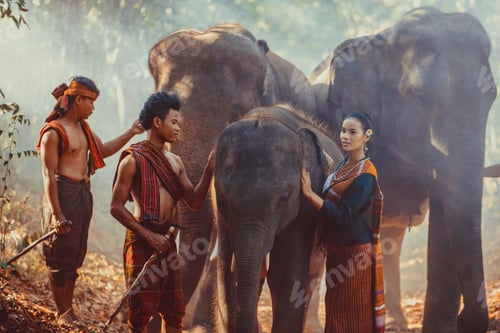 Preview: Elephant and woman in Thailand