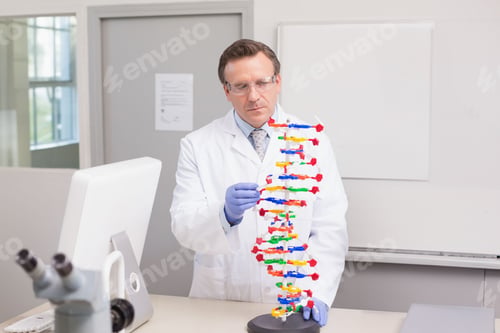 Preview: Male scientist wearing gloves and safety glasses examining plastic DNA model in lab with microscope