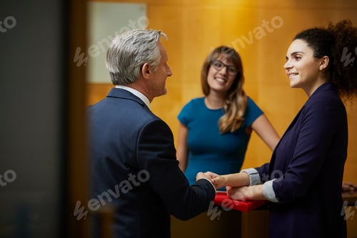 Preview: Businesswoman and man shaking hands in reception
