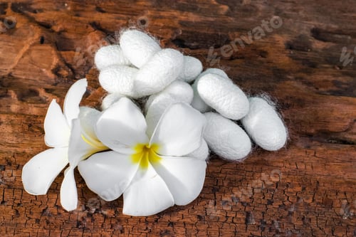 Preview: white silk cocoon, silky, fiber