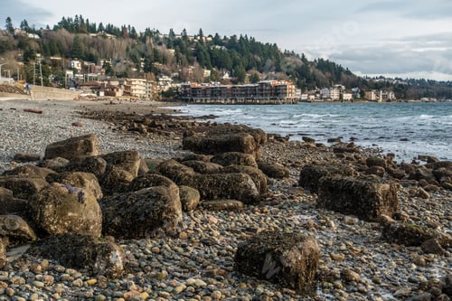 Preview: A View Of The Coastlien In West Seattle, Washignton.