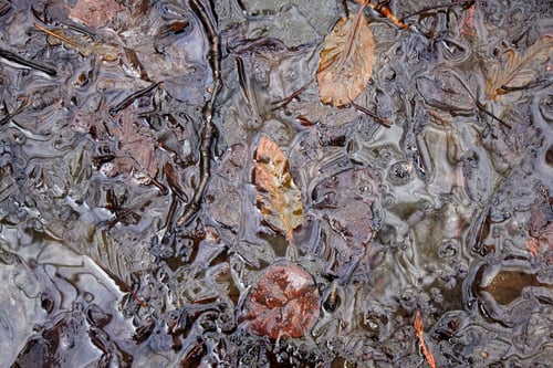 Preview: Swirls of Water, Ice and Leaves2