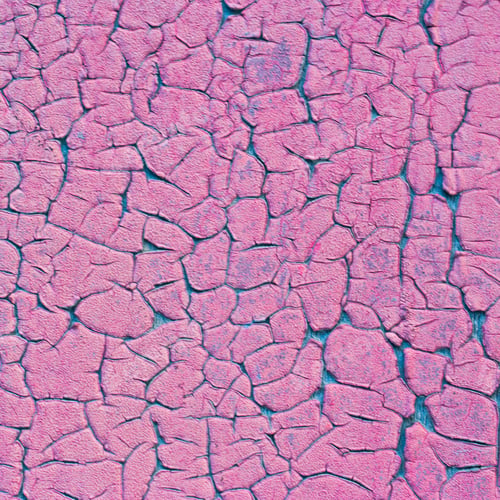 Preview: Old pink painted grunge texture