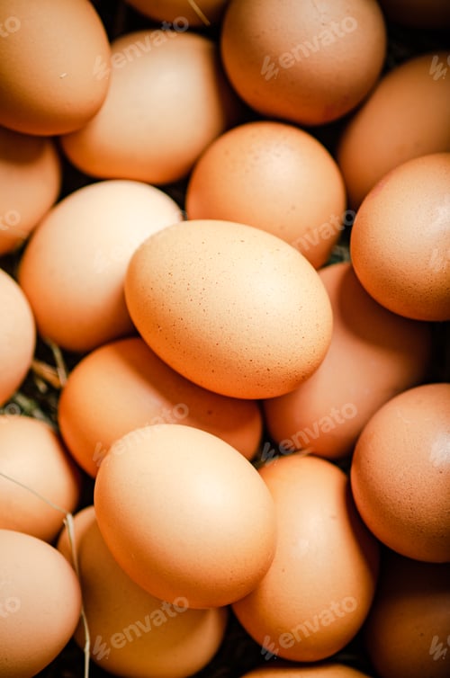 Preview: Fresh chicken eggs .