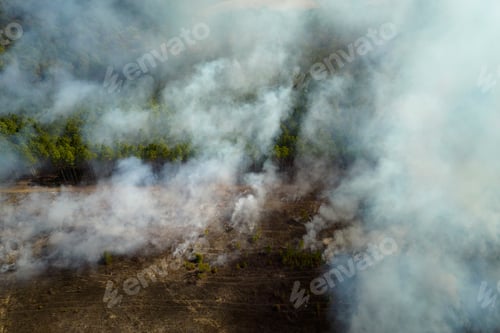 Preview: View from above of dense smoke from woodland and field on fire rising up polluting air.