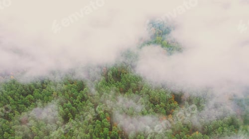 Preview: Clouds Moving Above Autumn Pine Forest. Aerial View 4K Flight Above Amazing Misty Forest Landscape