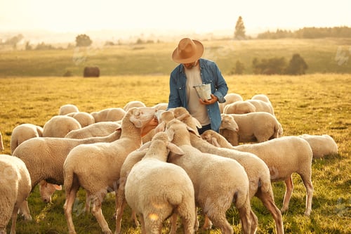 Preview: Mature couple working on the farm