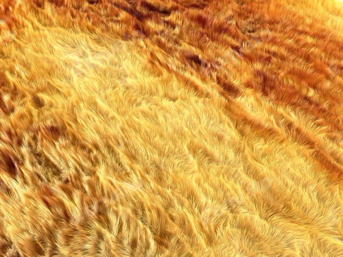Preview: Fell: brown and yellow fox fur pattern or background