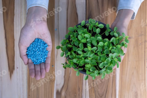 Preview: Science Fertilizer on farmer hand for seedling.