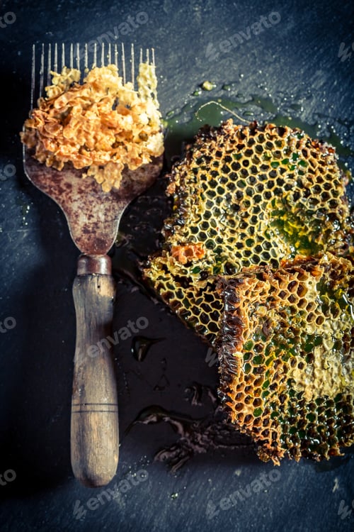 Preview: Antique tools for beekeeping on black rock