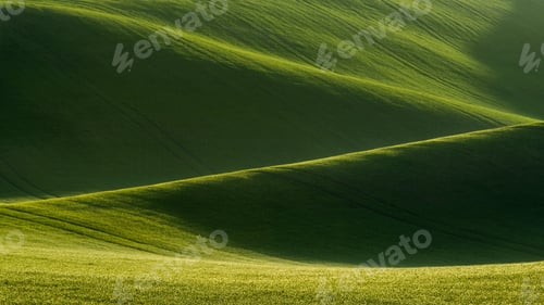 Preview: Detail of South Moravian field, Czech republic.