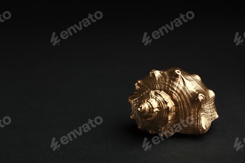 Preview: Shiny gold seashell on black background. Space for text