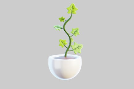 Preview: Potted plant with white pot and five green leaves.