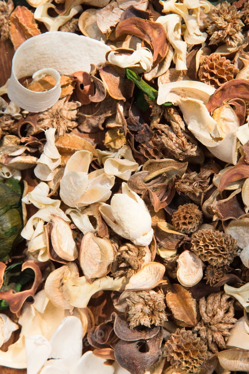 Preview: potpourri,dry flowers background texture