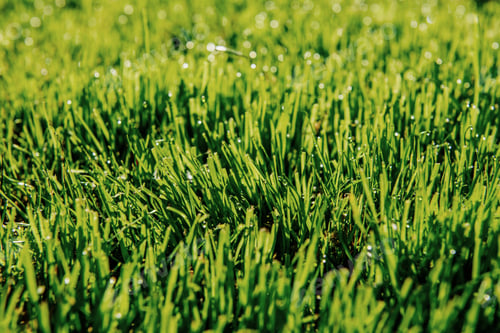 Preview: Abstract natural backgrounds with beauty bokeh