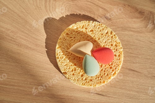 Preview: A set of different sponges: small colored ones and a large natural sponge.