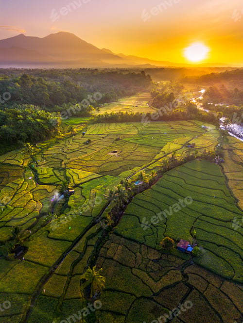 Preview: Beautiful morning view in Indonesia, panoramic landscape of rice fields with mountain