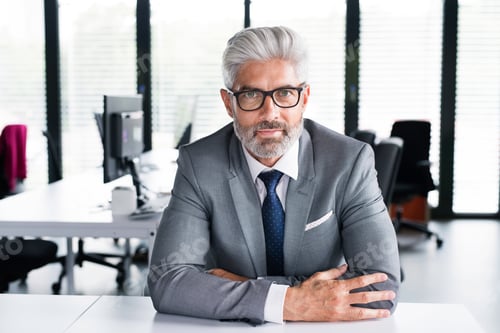 Preview: Mature businessman in gray suit in the office.