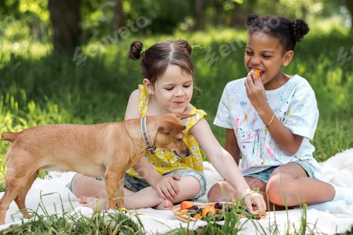 Preview: Caucasian and African-American girls eat fruit at a picnic on a summer day in the park.