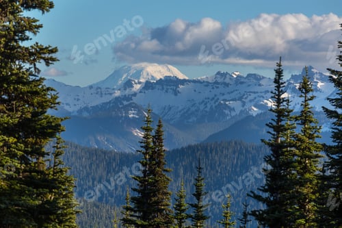 Preview: Mt Adams