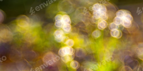 Preview: Abstract Bubble Background