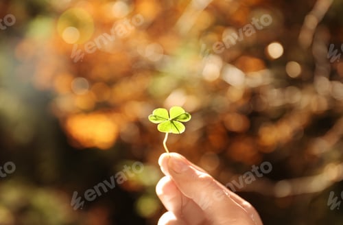 Preview: Woman holding green clover in autumn forest
