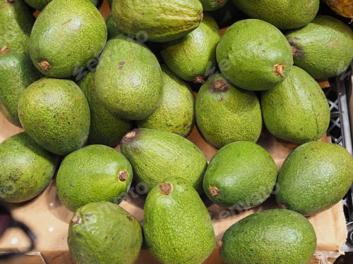 Preview: Avocado fruits on the market stall