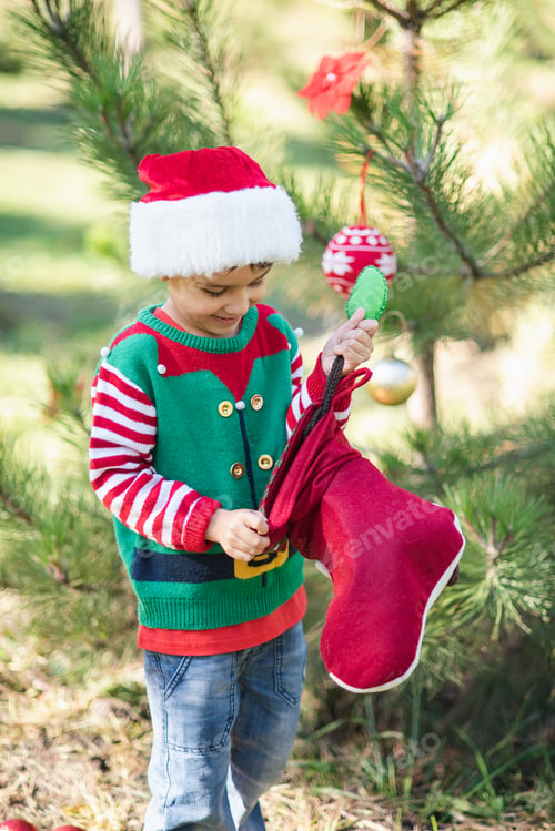 Preview: Little boy in sweater and hat waiting for a Christmas in the wood