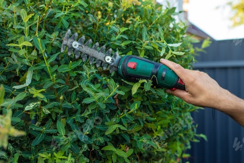 Preview: A gardener trims bushes in the garden. Selective focus.