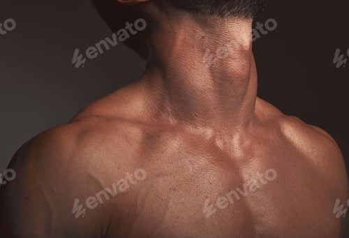 Preview: Man, body or neck muscles on dark studio background and exercise aesthetic, workout goals or intens