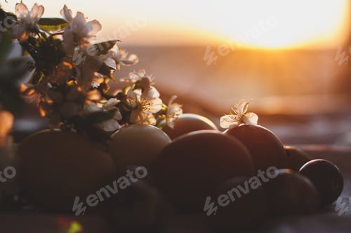Preview: Modern pastel easter eggs and blooming cherry branch with butterfly on rustic cloth in sunny light