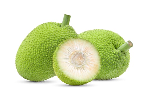 Preview: breadfruit on white background