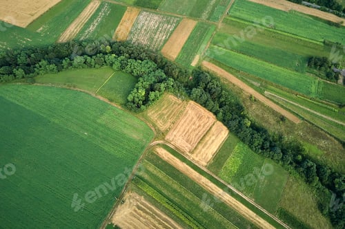 Preview: Aerial landscape view of green and yellow cultivated agricultural fields with growing crops