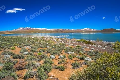 Preview: Laguna Blanca lake in Argentina