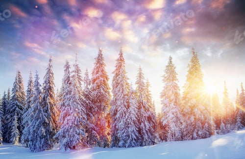 Preview: Mysterious winter landscape majestic mountains