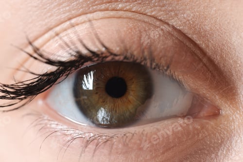 Preview: Macro photo of woman with beautiful eyes
