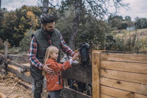 Preview: Farmer and his daughter standing close to donkeys at the farm