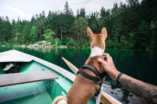 Preview: man and dog in a boat on a mountain lake