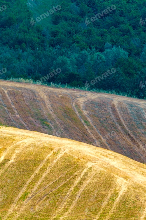 Preview: Rural landscape on the hills near Riolo Terme and Brisighella