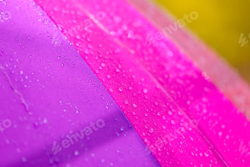 Preview: Bright color umbrella under rain outdoors, closeup