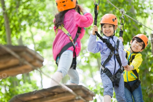 Preview: Happy children playing in tree top adventure park