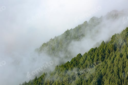 Preview: La Palma Trade Wind Clouds, Spain