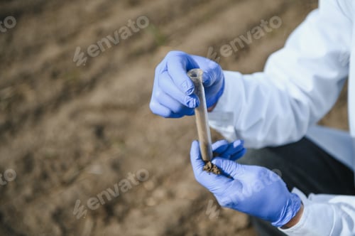 Preview: Laboratory worker holding professional glassware and testing black soil after harvest in the field