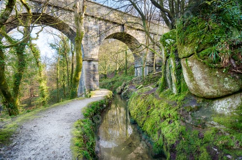 Preview: Luxulyan in Cornwall