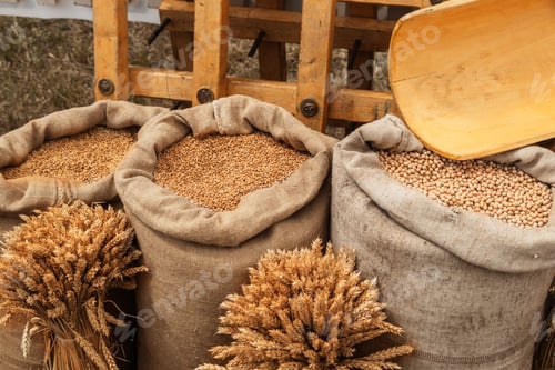 Preview: Various Grains in Bulk Sacks Farm Produce