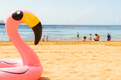 Preview: Pink flamingo on beach