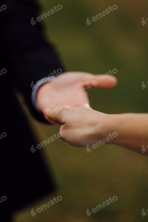 Preview: The bride and groom run through a forest. Wedding photo shoot.