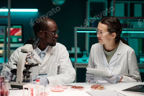 Preview: Two Biracial Researchers Sitting in Lab Discussing Synthetic Meat